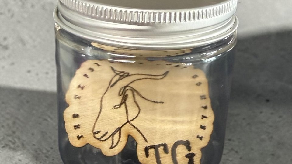 Black Raspberry Vanilla Car Air Freshener Vent Clip